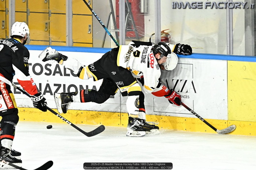 2025-01-25 Mastini Varese-Hockey Feltre 1883 Dylan Ghiglione